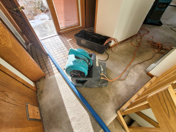 Carpet water damage restoration in Lorena, TX