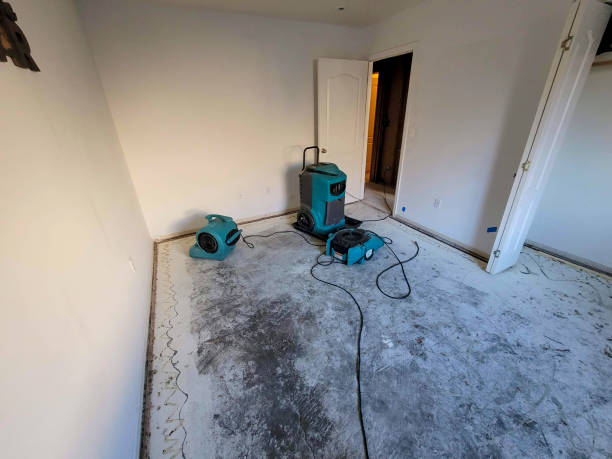 Water damage restoration insurance claims in Lorena, TX
