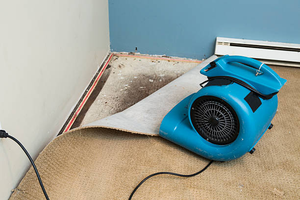 Best Flooded house restoration  in Lorena, TX